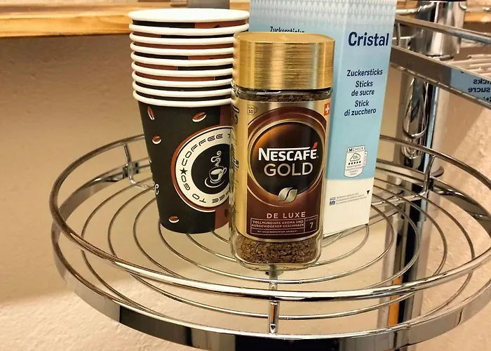 Lägenhet Business And Jacouzzi In Lausanne