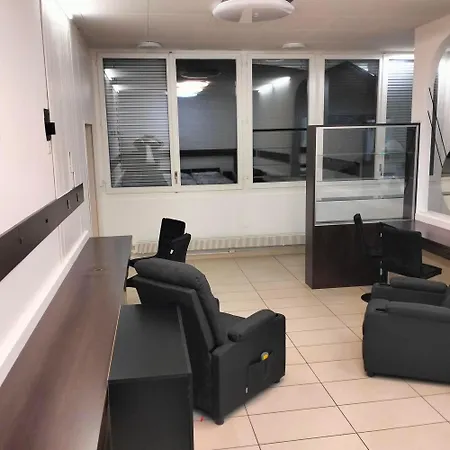 Business And Jacouzzi In Apartment Lausanne